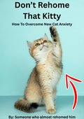 How To Overcome New Cat Anxiety